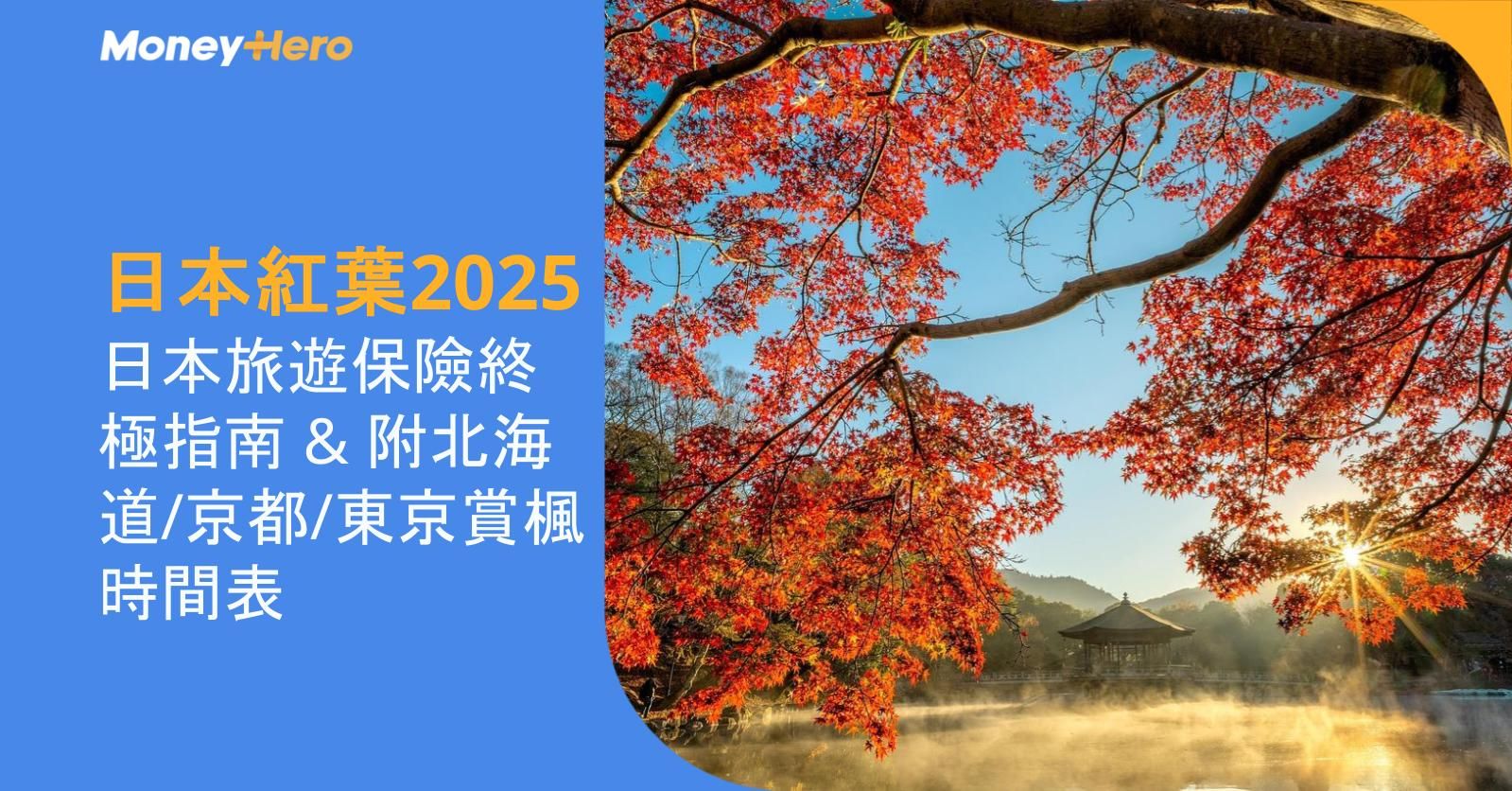 日本紅葉2025 | 日本旅遊保險終極指南 & 附北海道/京都/東京賞楓時間表