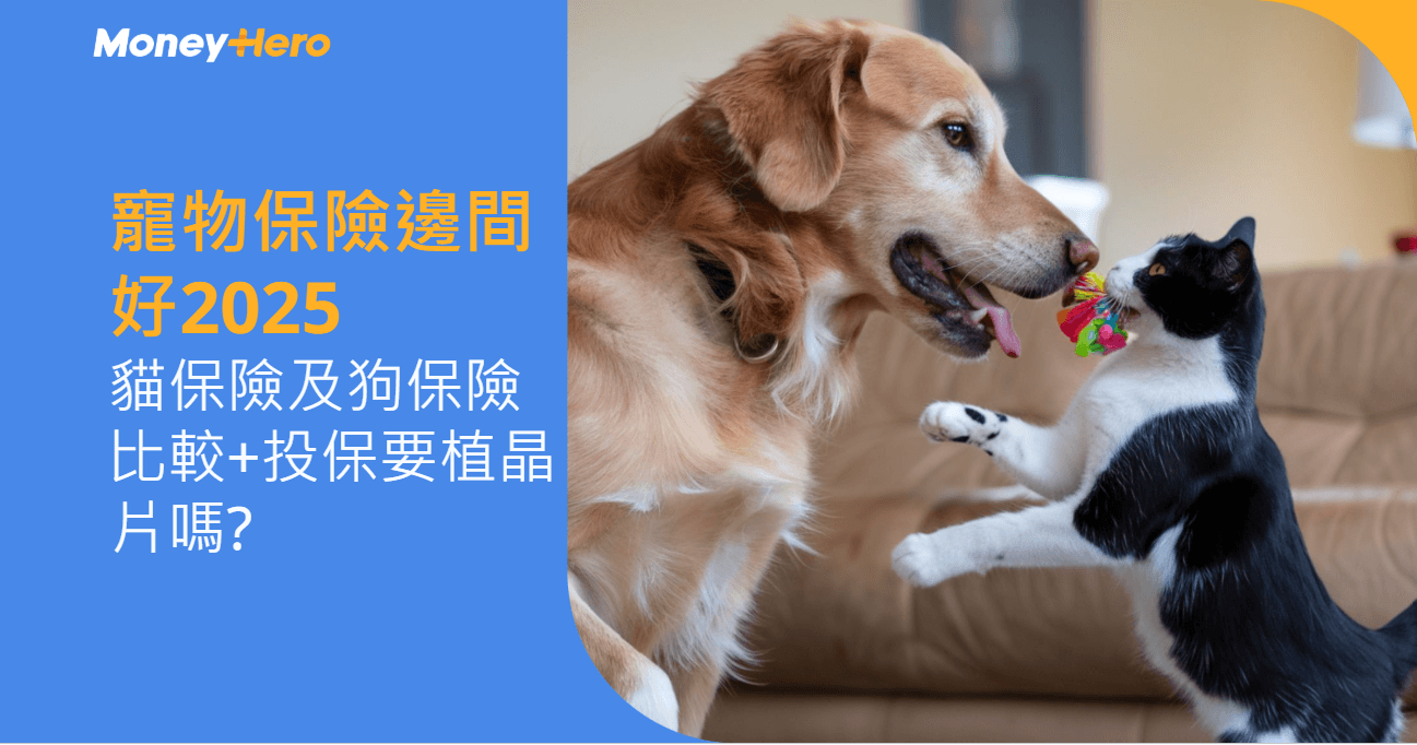 獸醫診所收費｜貓狗絕育價錢2025+寵物洗牙／身體檢查保險包唔包？