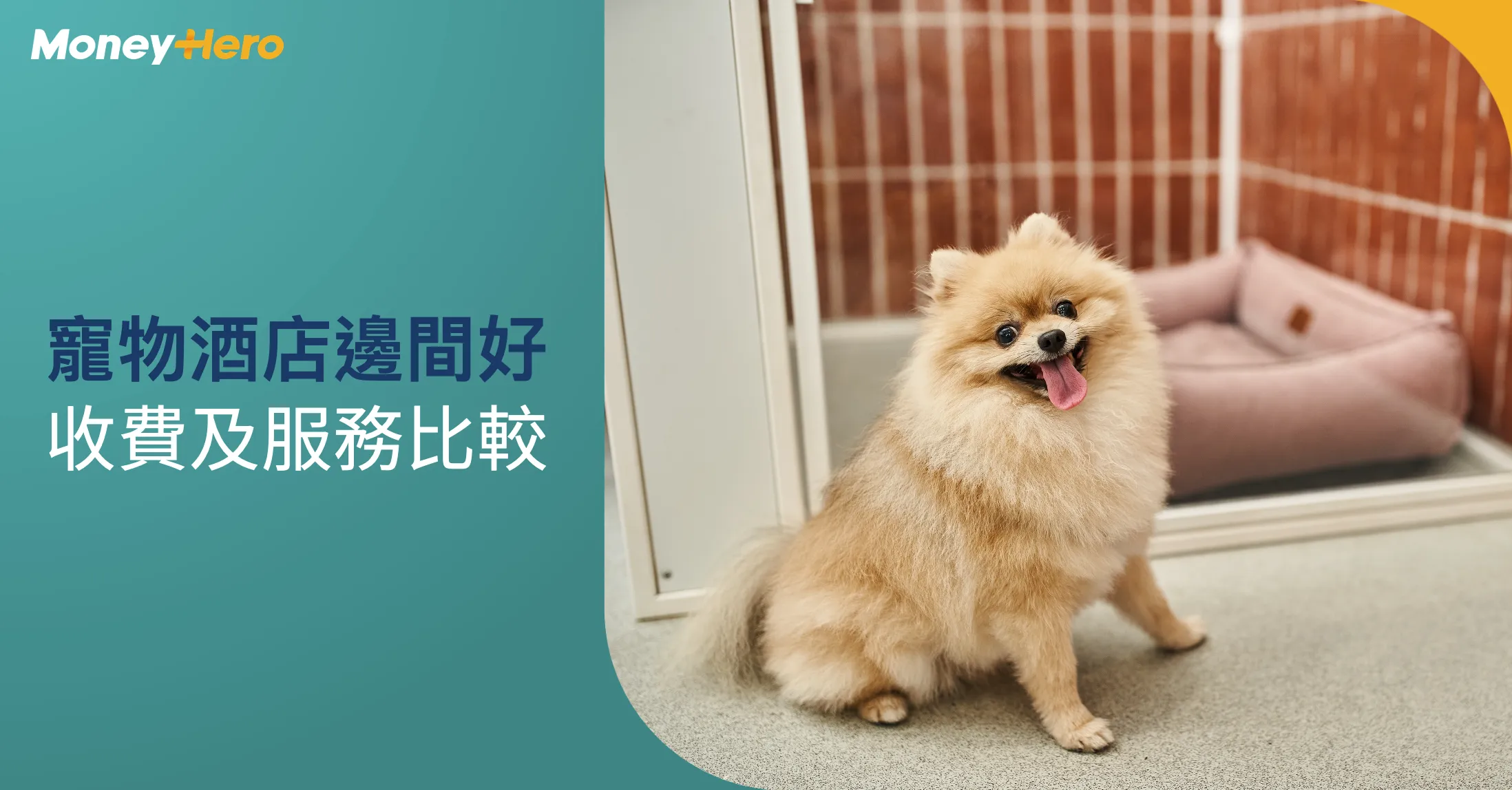 寵物酒店 / 暫托邊間好？全港6間寵物酒店推介、價錢比較、如何選擇教學