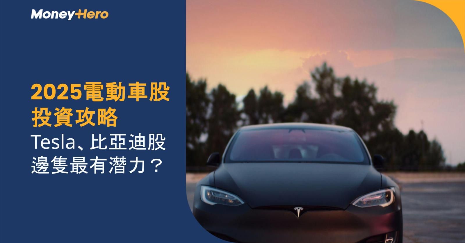 2025年表現最佳的電動車股