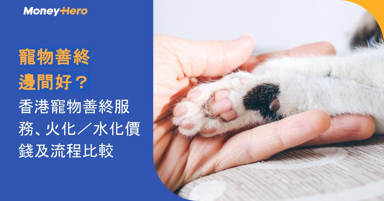 寵物善終邊間好?2026 香港寵物善終服務、火化/水化價錢及流程比較