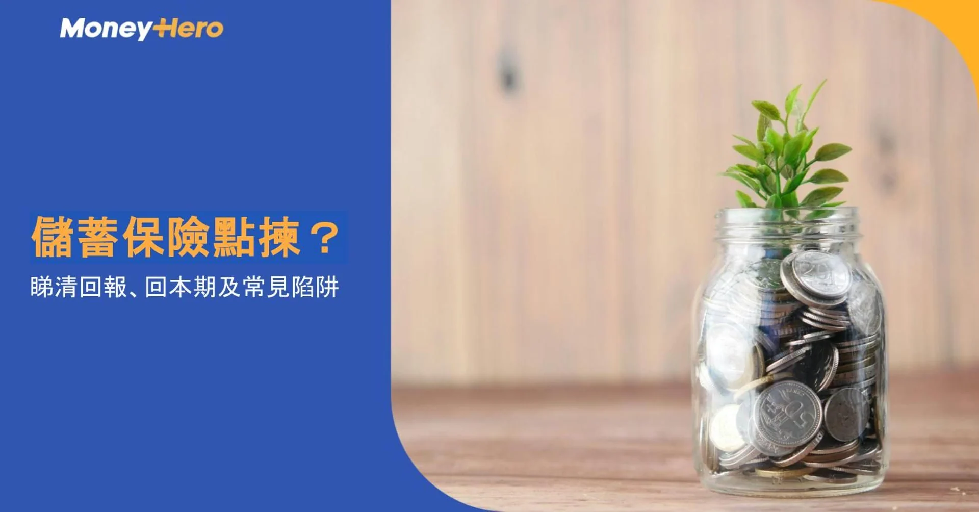 Coins in a glass jar with a small plant, symbolizing financial growth and savings.