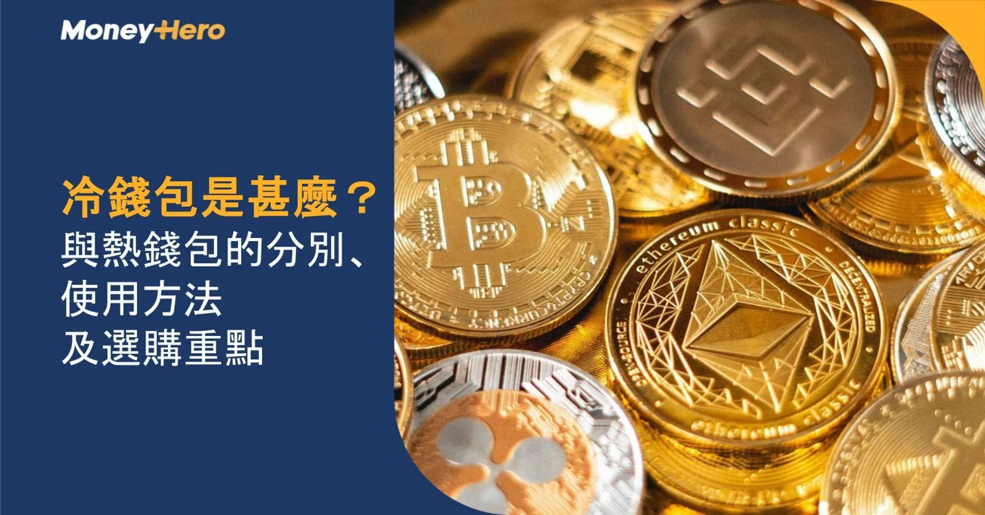 Golden cryptocurrency coins accompany text about cold wallet differences, usage, and buying guide.