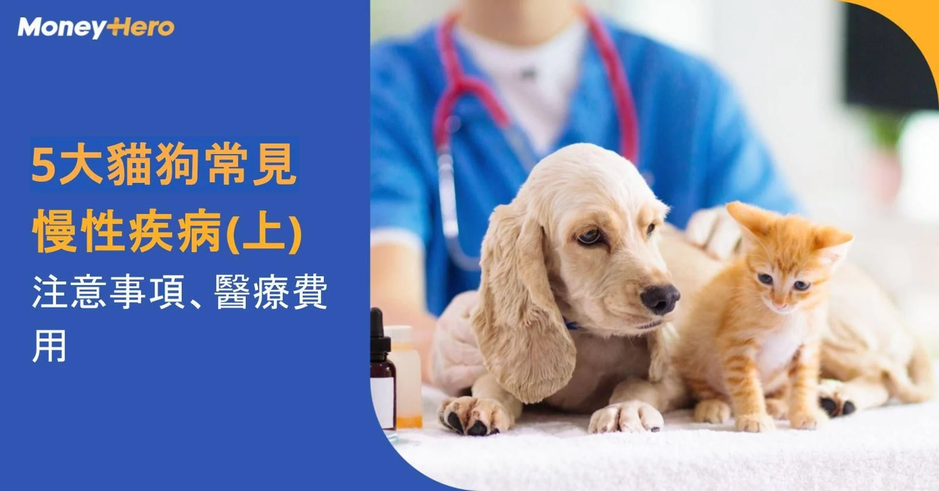 貓狗五大昂貴醫治的慢性疾病（上篇）：心臟病、腫瘤及慢性腎病