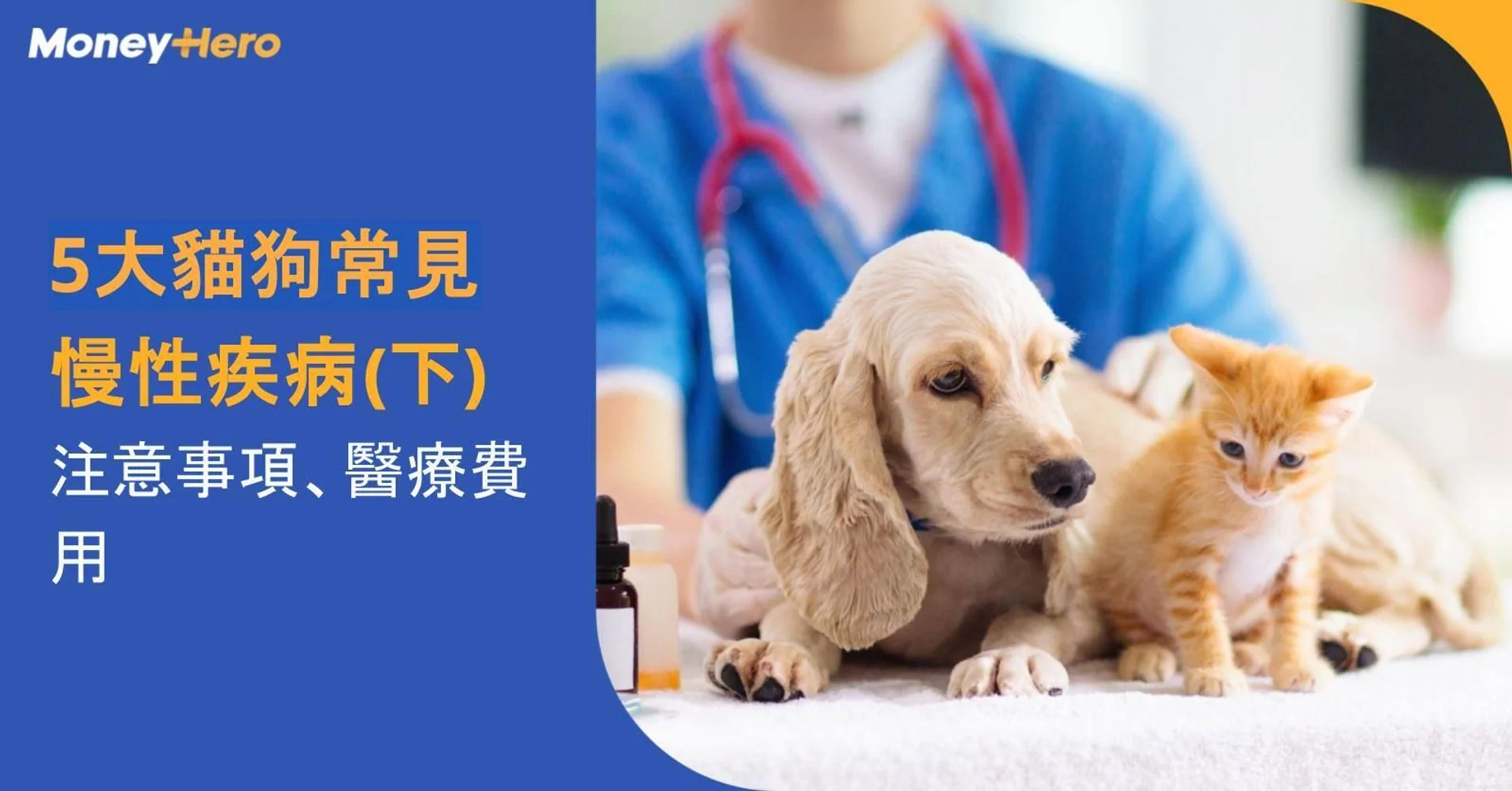 貓狗五大昂貴醫治的慢性疾病（下篇）：庫興氏症及炎症性腸病