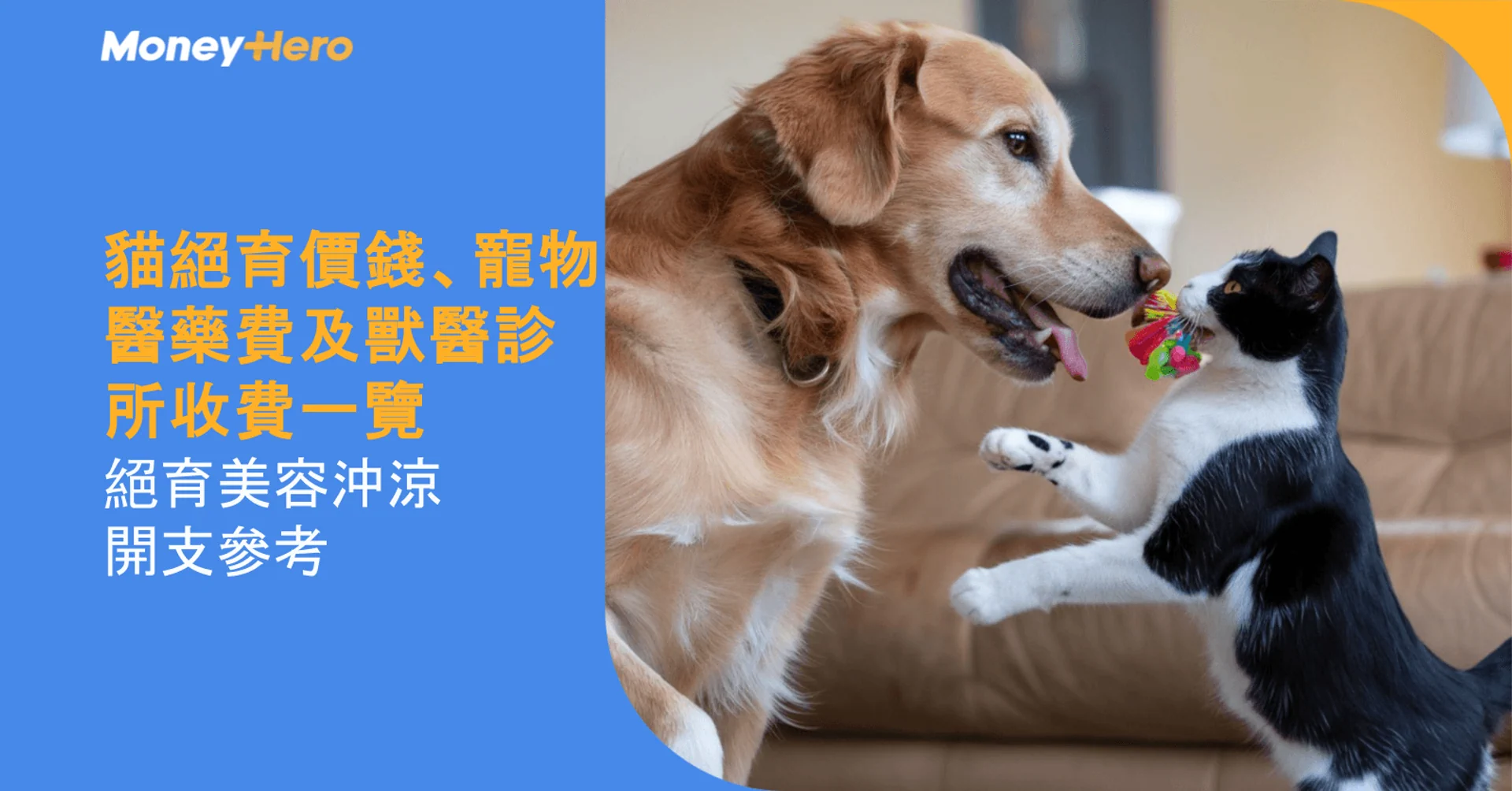 貓絕育價錢、寵物醫藥費及獸醫診所收費一覽|絕育美容沖涼開支參考
