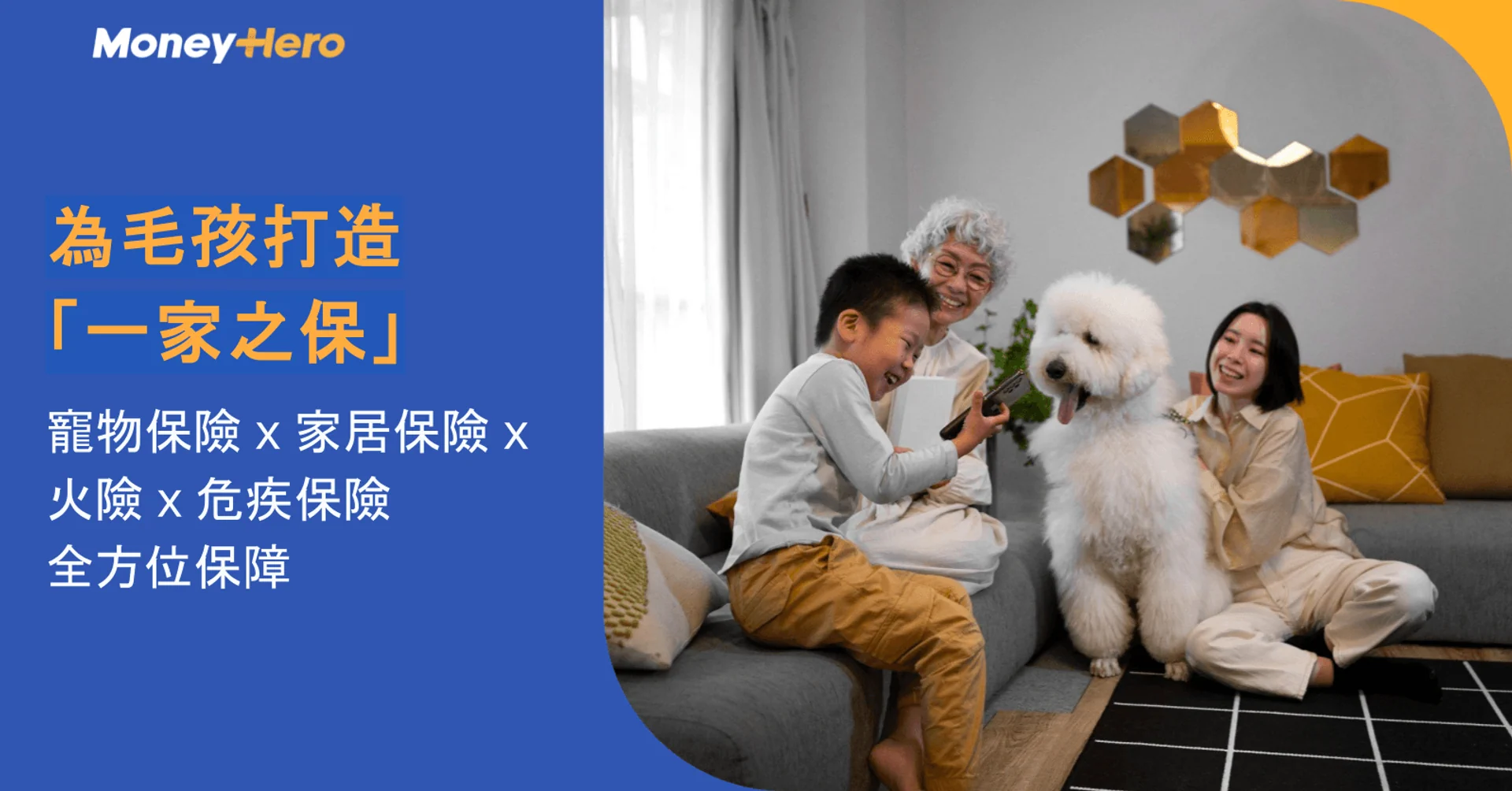 【OneDegree保險】為毛孩打造「一家之保」 | 寵物保險 x 家居火險 x 危疾保險全方位保障