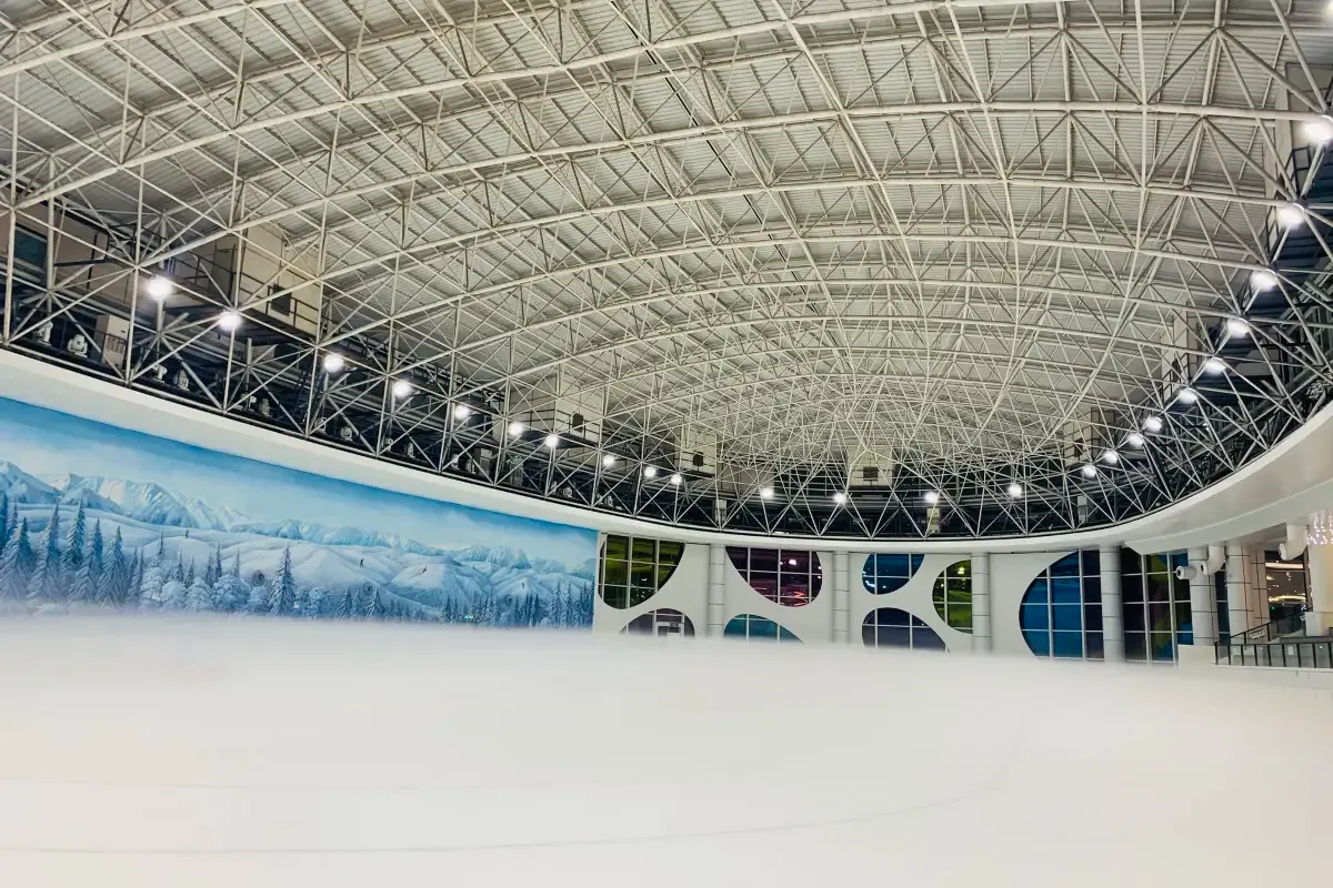深圳阿爾卑斯冰雪世界