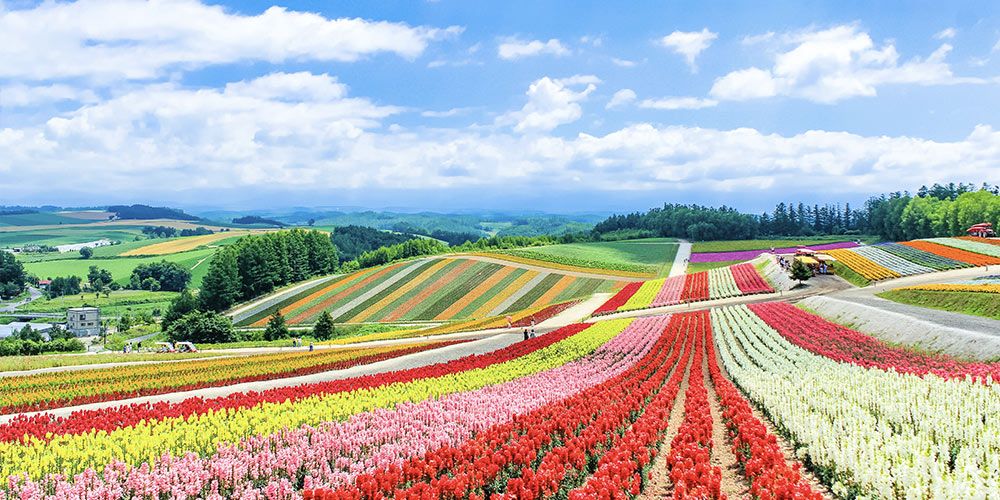 4月:日本(北海道)