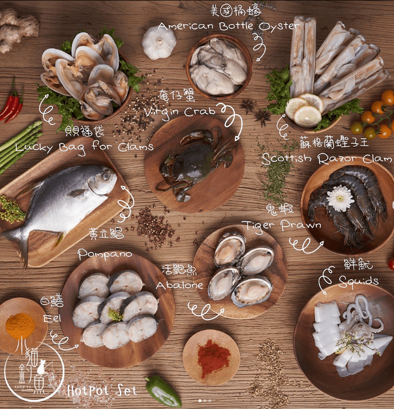 小貓釣魚