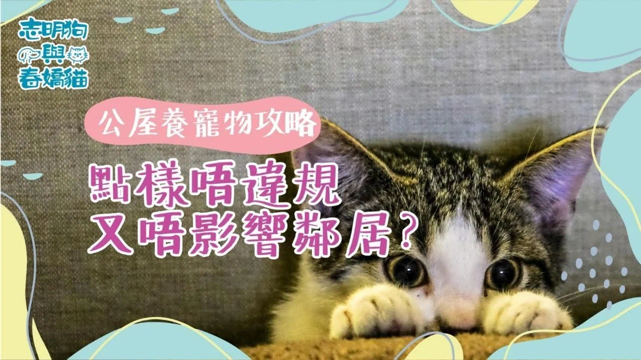 提供公屋養寵物攻略,教你如何在不違規及不影響鄰居的情況下安心養寵物。