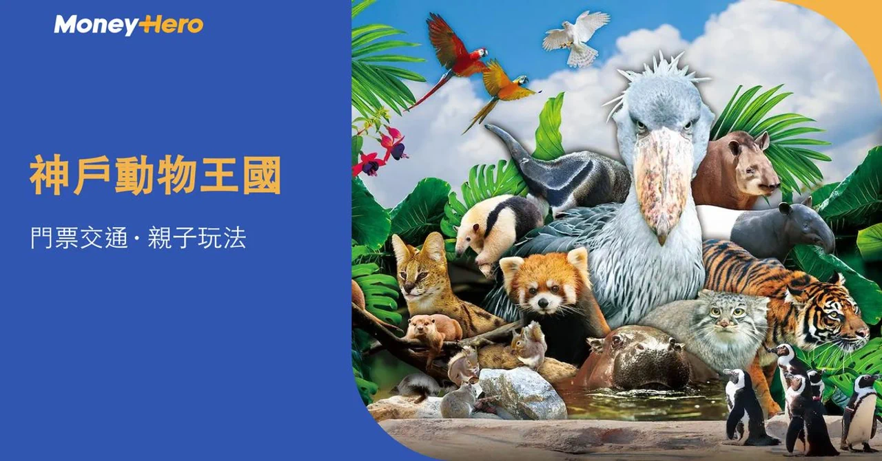 神戶動物王國攻略|門票、交通及動物互動,親子遊點安排?