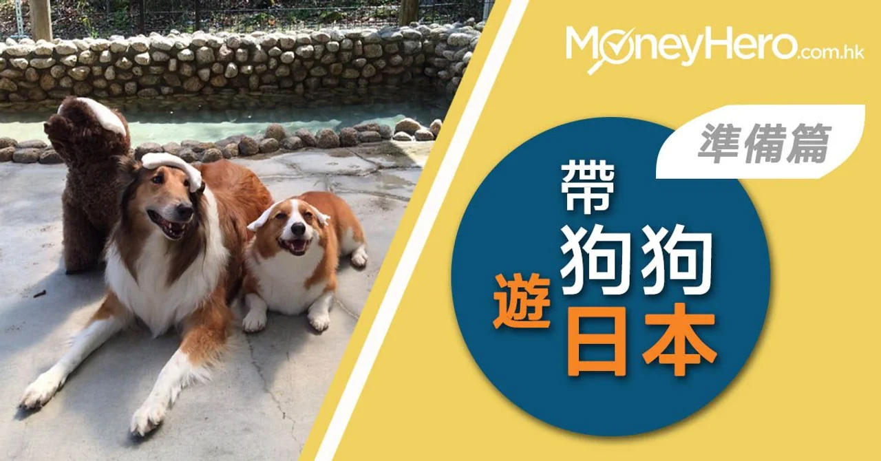【 寵物旅行 】帶埋狗狗遊日本 同機同艙有咩要準備?