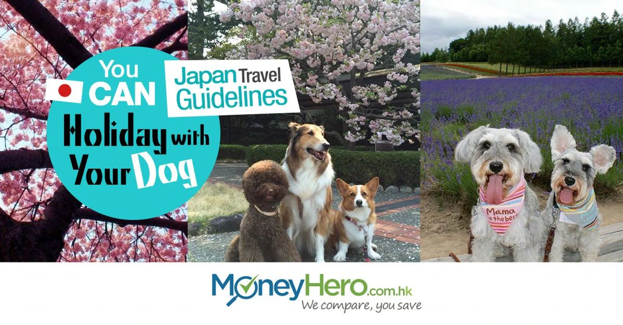 You CAN Holiday with Your Dog!