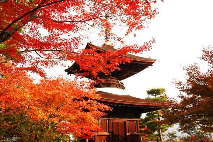 京都 常寂光寺