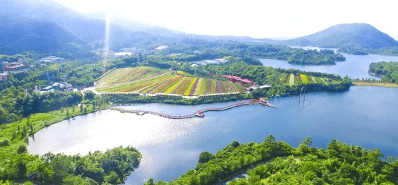 東部華僑城