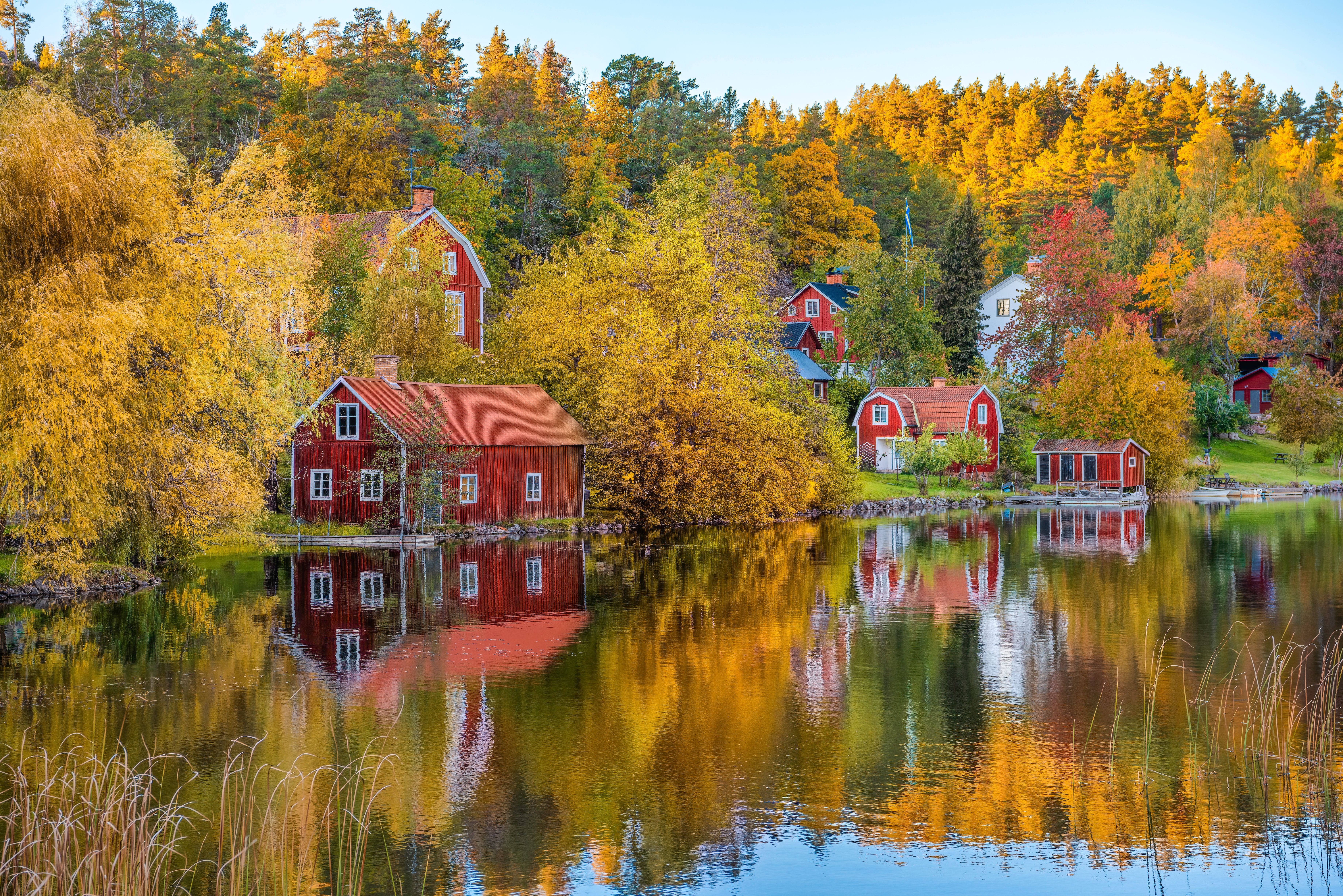 shutterstock_2378506543