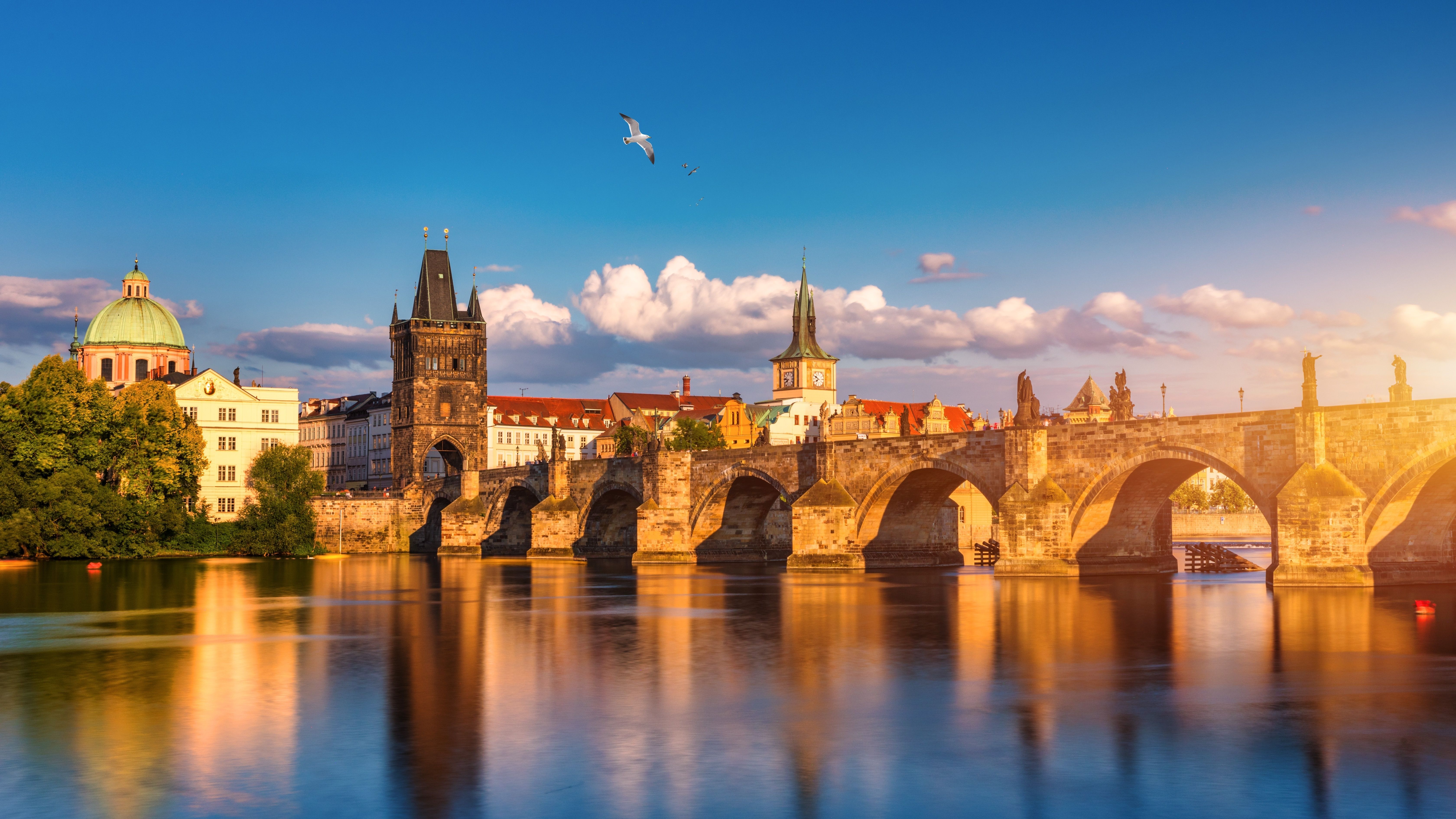 shutterstock_2463213601