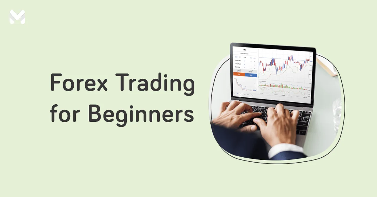 forex trading for beginners | Moneymax