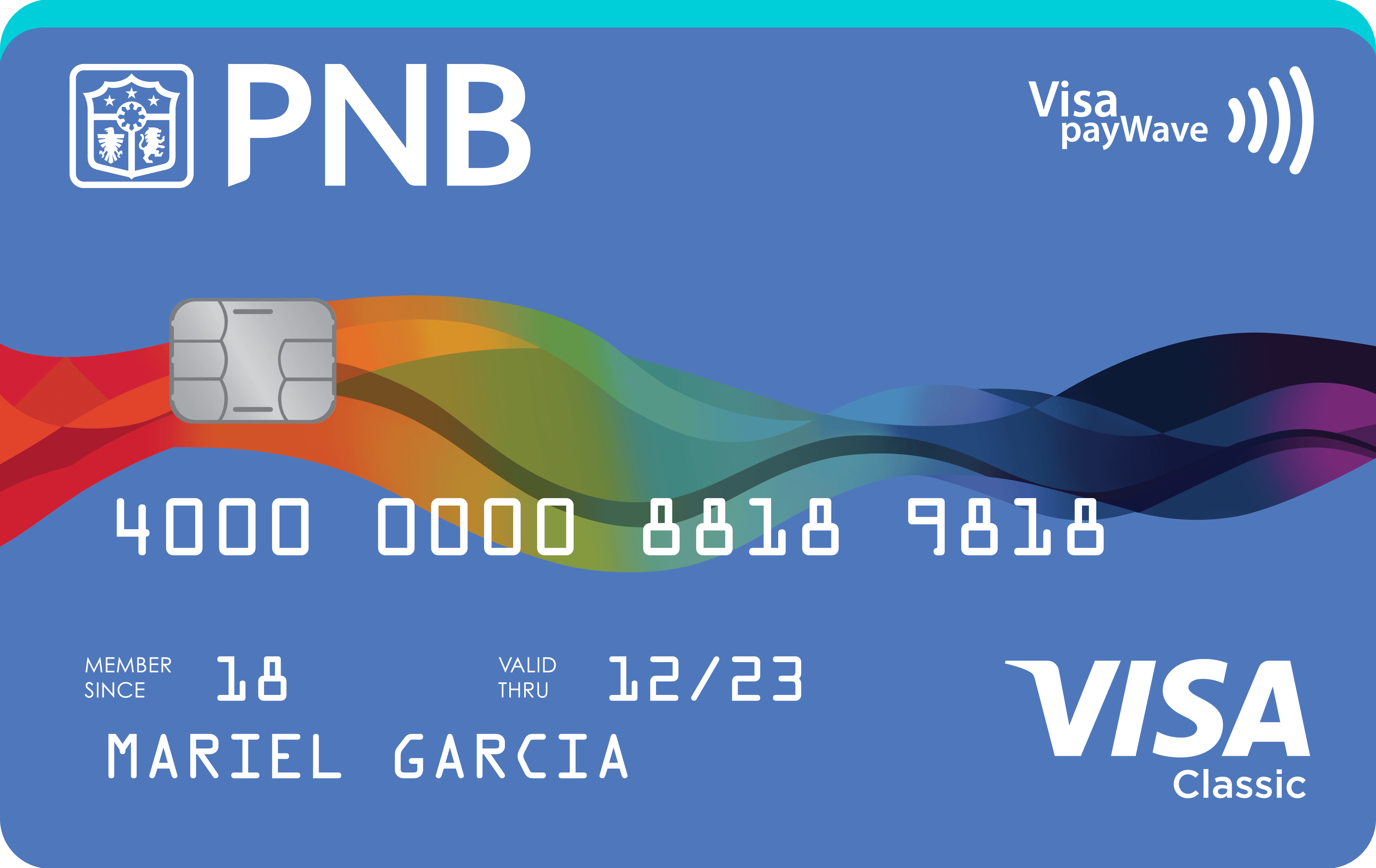 pnb visa classic