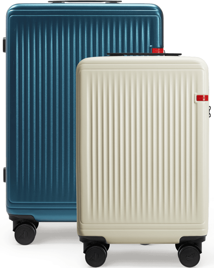 GOTRIP Luggage Bag