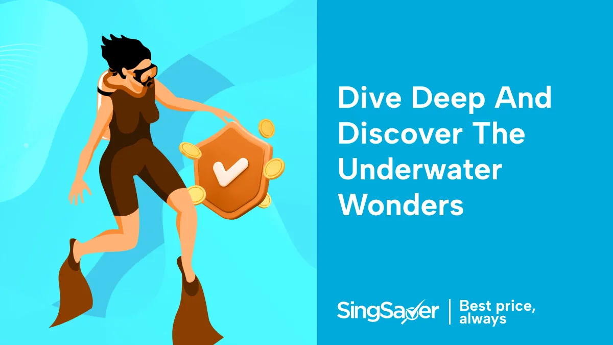 Scuba Diving Travel Insurance: Plan Ahead For Your Holiday