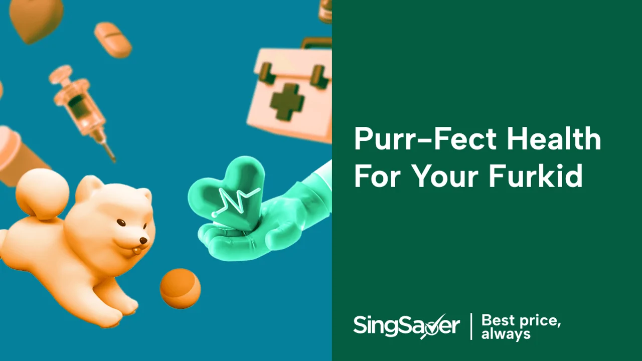 4 Best Pet Insurance Plans in Singapore 2025
