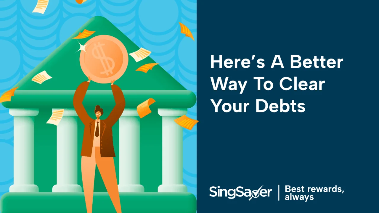 What are the Disadvantages of Debt Repayment Schemes?