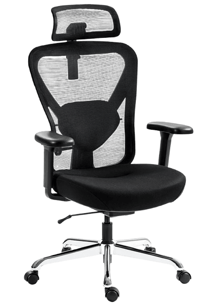 Hinomi Q1 Ergonomic Office Chair (worth S$499)