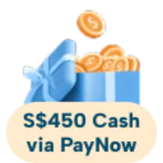 S$450 Upsized Cash via PayNow